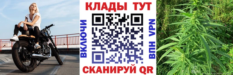 Купить наркотики цена Приморско-Ахтарск ГАШ  mega   Мефедрон  Бошки Шишки  Кокаин 