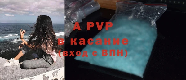 стафф Заволжье