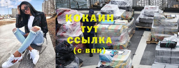 мдпв Гусев