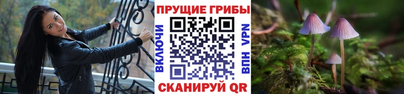 Галлюциногенные грибы мухоморы  Приморско-Ахтарск 