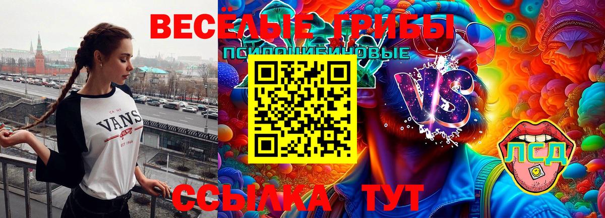 Псилоцибиновые грибы Cubensis Приморско-Ахтарск