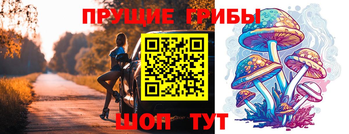 Приморско-Ахтарск  Псилоцибиновые грибы прущие грибы  Псилоцибиновые грибы ЛСД  Вход с VPN 